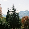 Tennessee Autumn